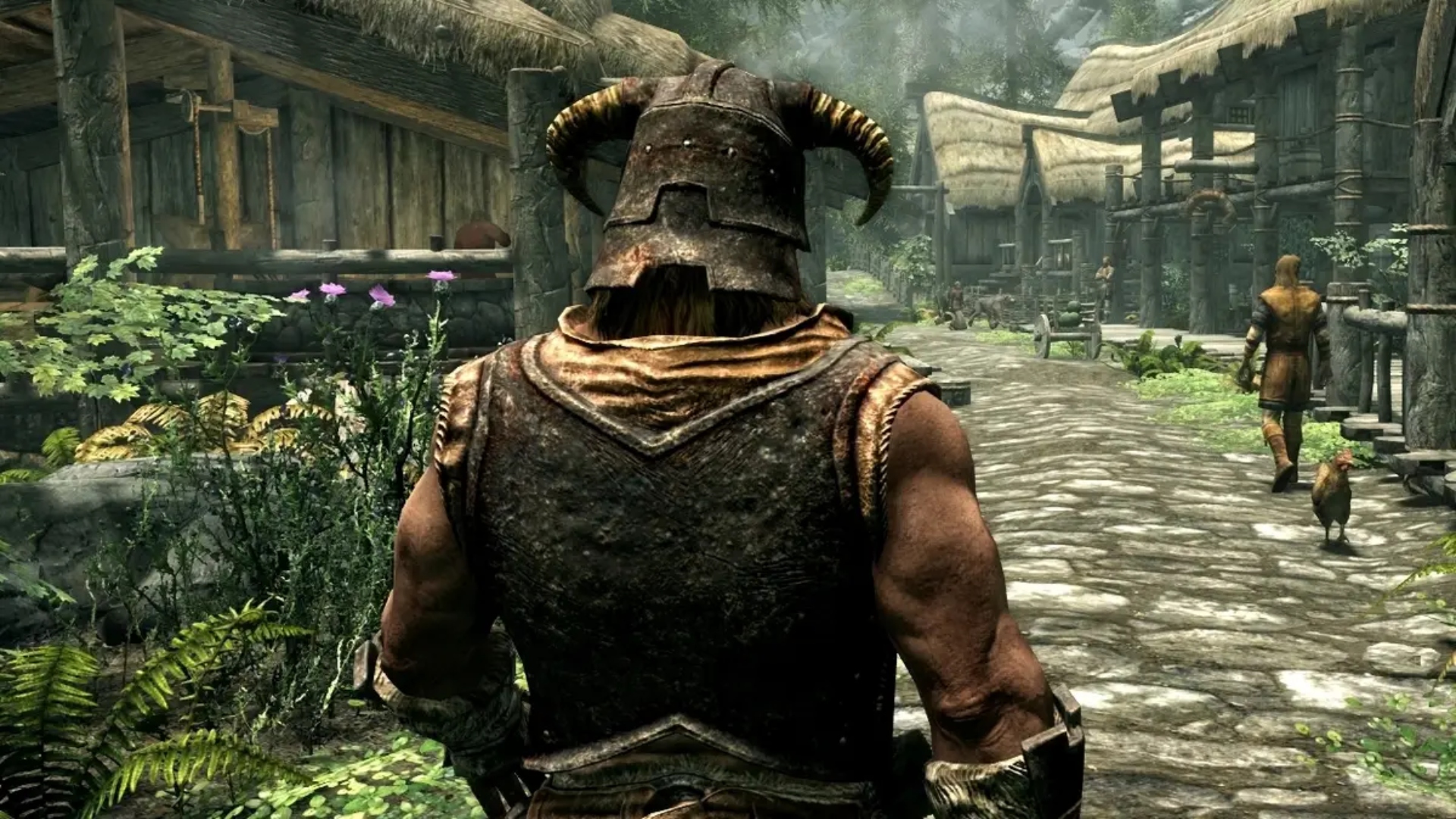 A character from Elder Scrolls V Skyrim.