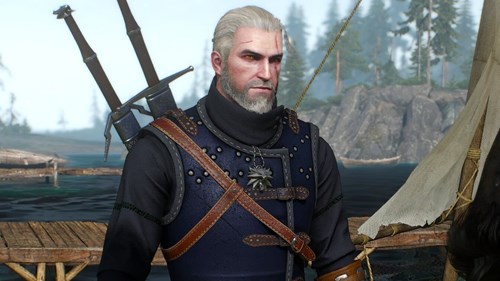 The Witcher 3 Best Armour Sets feline