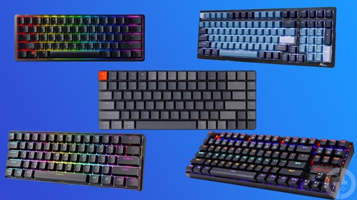 An image of a selection of the best budget mechanical keyboards