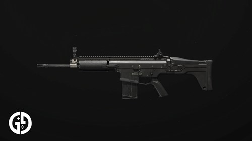 TAQ-V Battle Rifle MW3