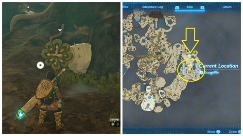 Zelda Tears of the Kingdom Like Like Stone location nearby Gutanbac Shrine