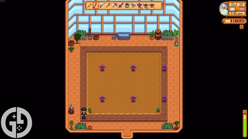 Greenhouse layout for Iridium Sprinklers in Stardew Valley