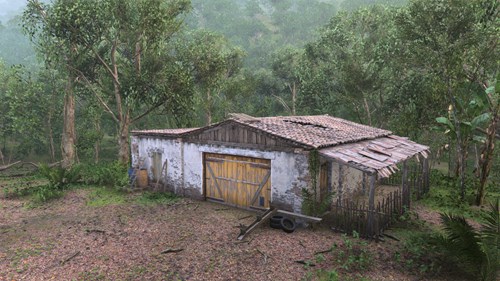 A barn in a jungle.