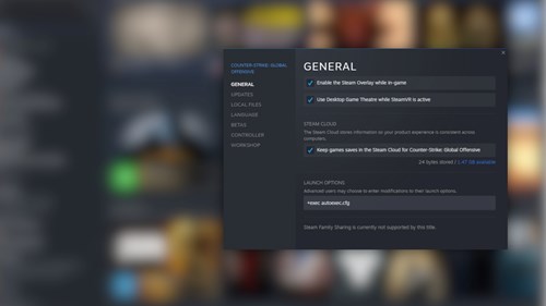 CS:GO launch options how to set