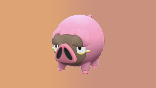 A shiny Lechonk as it appears in Pokemon GO.