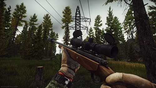 Escape From Tarkov Woods Bosses