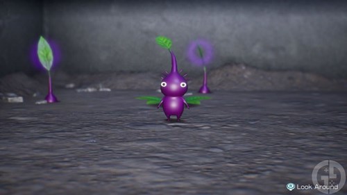 The Purple Pikmin