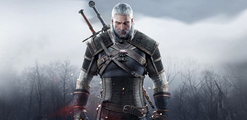 The Witcher 3 Best Armour Sets viper